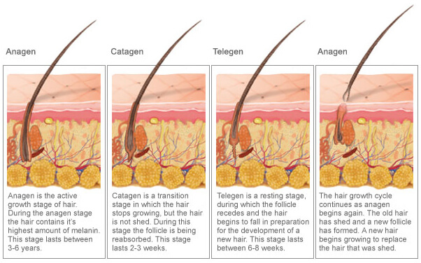 How does Electrolysis Hair Removal Work 100 Permanent Chicago